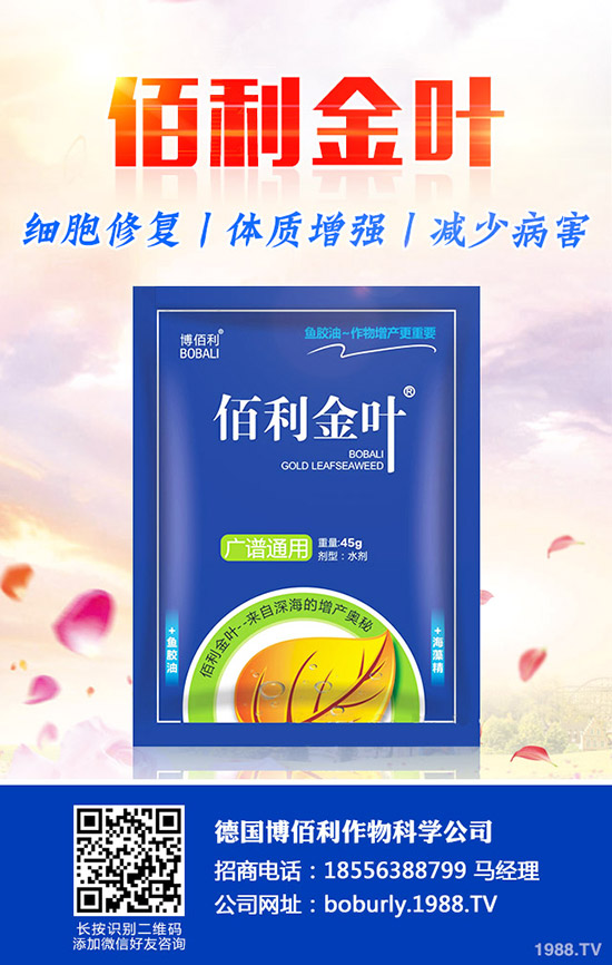 ��������A(y��)���ʺ����l(f��)���ʺ�������a(b��)����