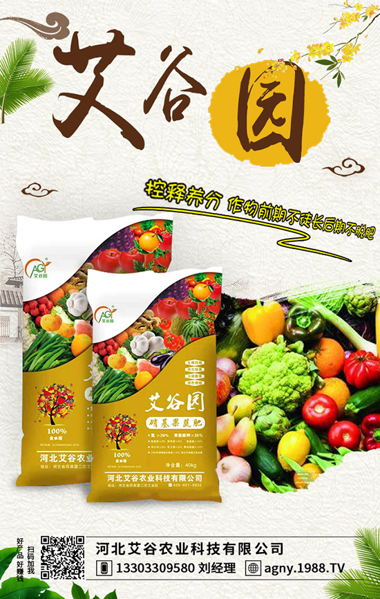 �O����ʩ�ʲ�����ʺ������ҽ�������A���ʺ���