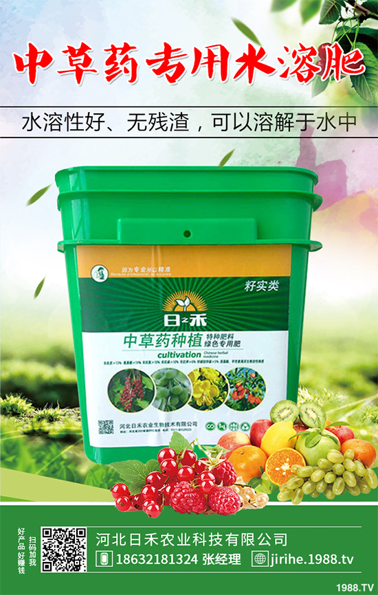 射干該怎么種植?中藥材射干的種植技術要點