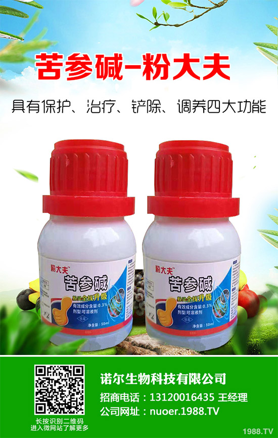 �{�����ӵă�(y��u)��(sh��)�����x���δ��ֲ���Ј�(ch��ng)�д�������