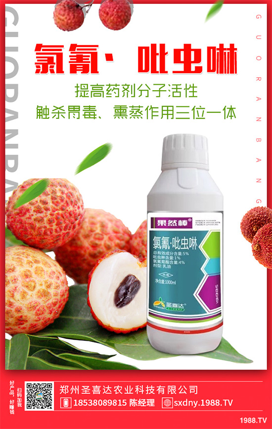 ��������ӛ���������x�y��߀�������������T��Ҫ���(qu��n)�����أ�