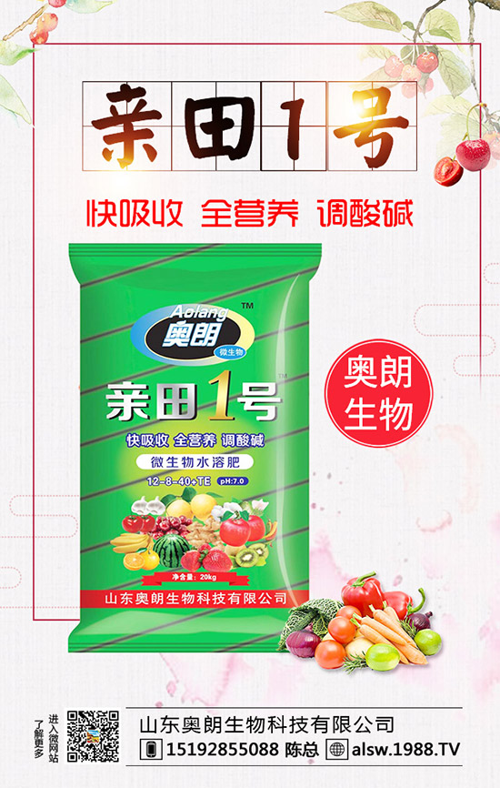 蘆筍種子處理及育苗技術(shù),蘆筍定植后要如何管理?