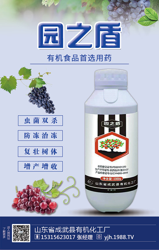 �J�S���ʩ�����J�S��ʲô���Ϻ����J�S������c(di��n)��ע�����(xi��ng)��