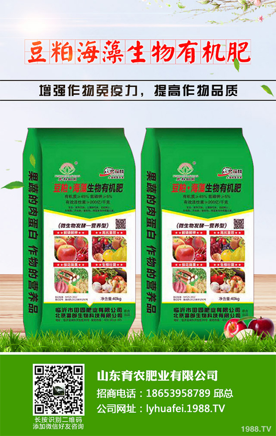 ��z�ʾ�ԓ��������������������z�ʾո߮a(ch��n)�������