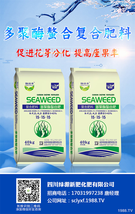 ���տ�ʲô�r�򲥷N��ԓ��ι������߮a���տ��߮a�Nֲ�������g