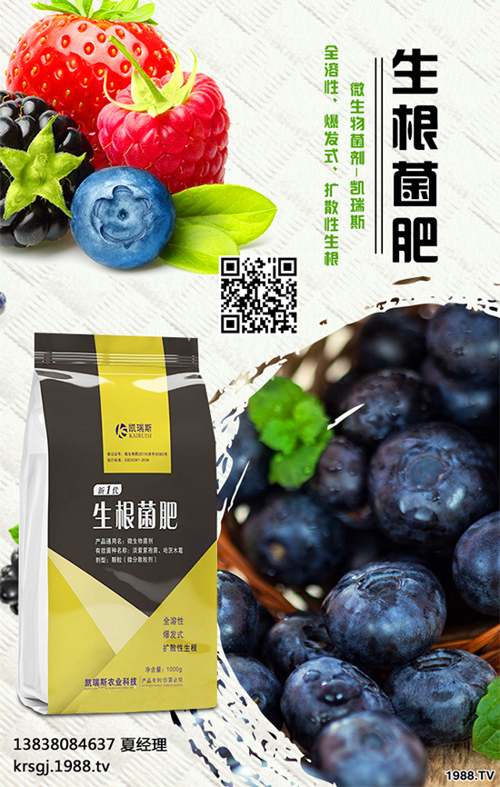 油茶屬茶科,常綠小喬木。茶油色清味香,營養(yǎng)豐富,耐貯藏,是優(yōu)質(zhì)食用油 ;也可作為潤滑油、防銹油用于工業(yè)。近年來我國各地油茶產(chǎn)區(qū)政府紛紛鼓勵(lì)種植油茶。那么,油茶種植到底有哪些優(yōu)勢呢?