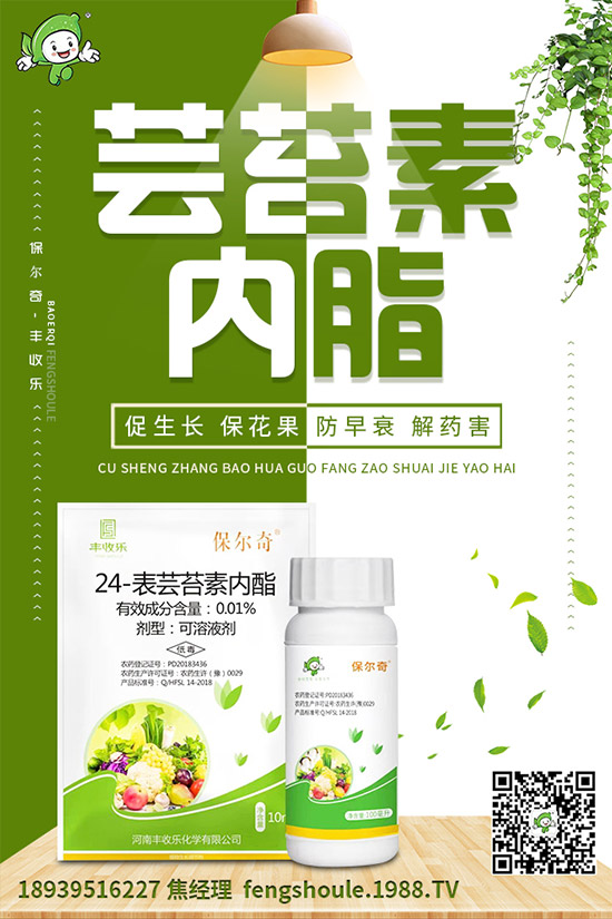 �������ô�޽�����ϼ޽Ӹ߮a(ch��n)�Nֲ���g(sh��)��