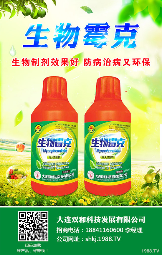 �����}��ʲô�r��Nֲ����ηNֲ���ܸ߮a����