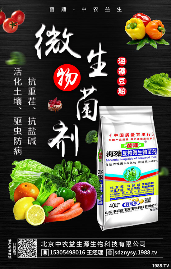     ���@�Ј����w���F(xi��n)ƽ�o��2020-5-12����������@�r�����������