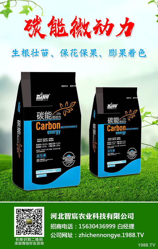 5月國內磷肥市場何去何從?最新一銨二銨價格行情走勢預測!