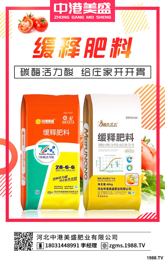 葛根種植多久可以收獲?種植葛根一畝有多少利潤?