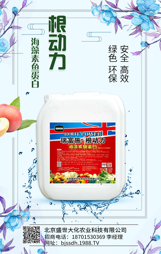 蘆筍有什么營養(yǎng)價值?吃蘆筍有哪些好處?