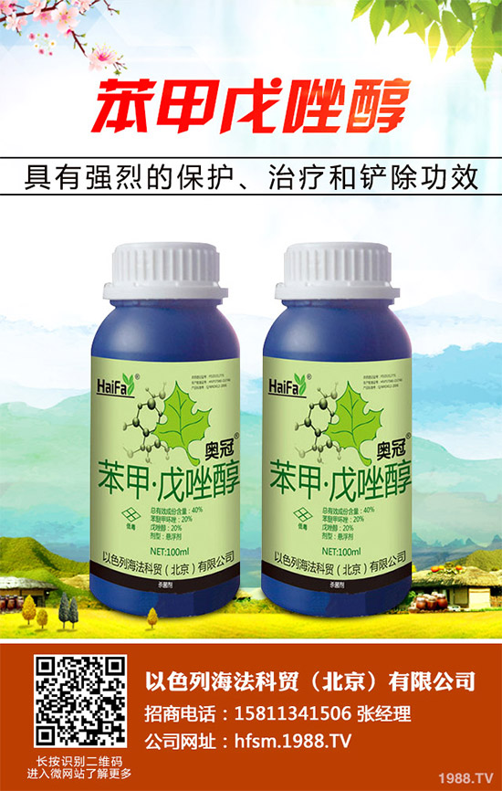 ��䚢�����r��