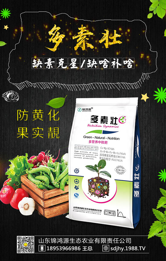 ���������緽������Щ������������Ҫ�c(di��n)�����ڹ�����