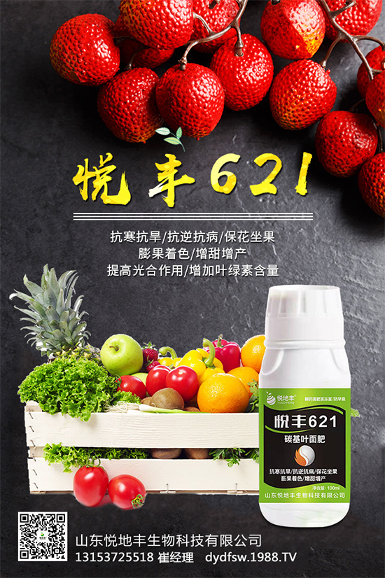 �t����֪��ԓ�����������