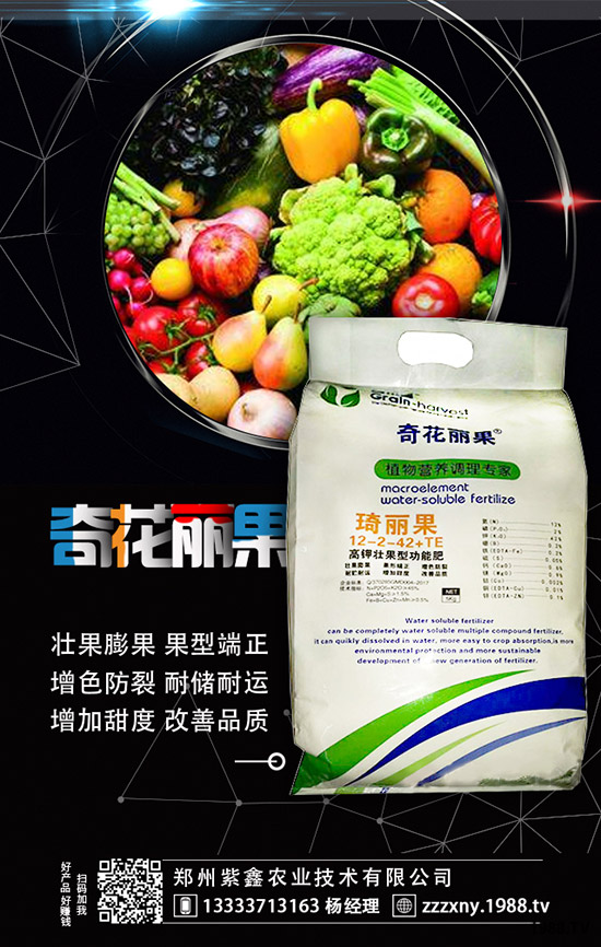 ��ݮĸ�綨ֲ������ʩ�������ӝ�ˮ��