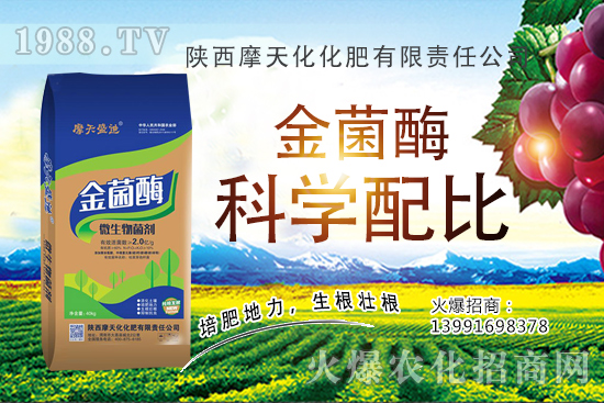 2020�����Nֲǰ����ô�ӣ������N�Ӷ����Xһ����