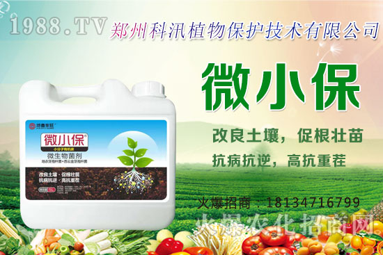 ����Ĺ�Ч�c���ã������c�����Ă�(g��)���РI(y��ng)�B(y��ng)��