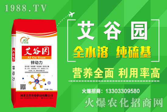 ���؃r(ji��)��