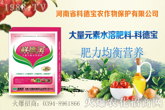 ��֦ʲô�r�g��������֦���A�\��������Щ��