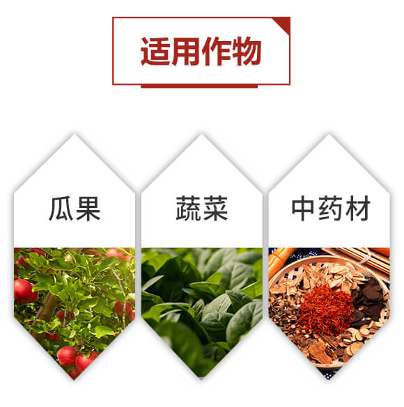 ϡ��΢�������-���ܴa-ؐ��_08