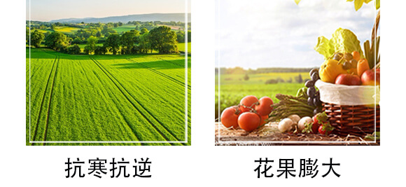 ���S�x��-���n����_06