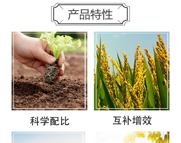 ���S�x��-���n����_05