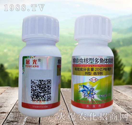 ����x���Ͷ���w������ʲô�x��Ч����ô������ô�x��