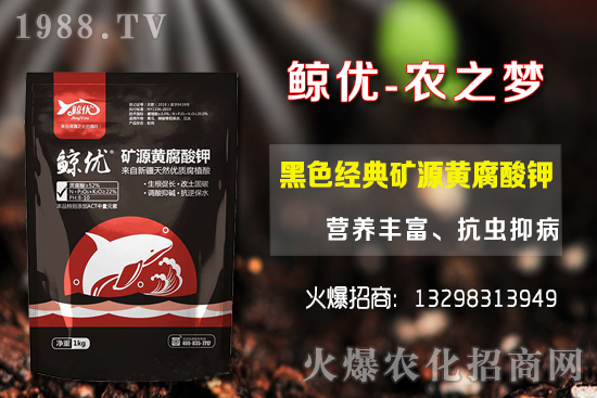 �����ķNֲ�ܶ���������Ʒ�N�x�񼰷Nֲ������