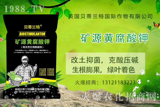 ���ÿ���ô�B(y��ng)�����ÿ��B(y��ng)ֳ������ע�����(xi��ng)��