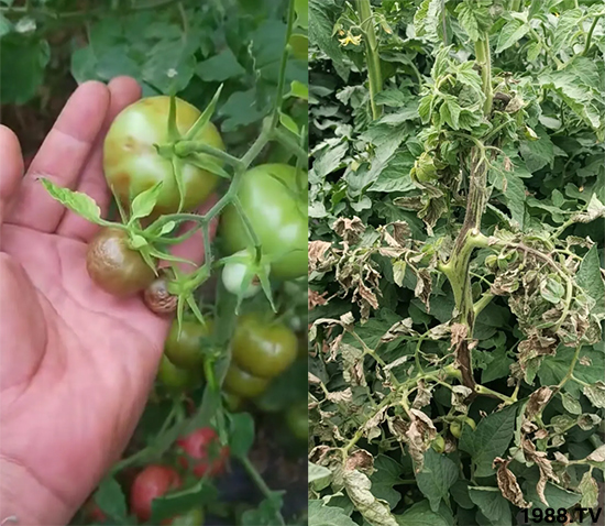 ����������ΰl(f��)�������Л]�кõķ��δ�ʩ�������@�ׂ�����߀�оȣ�