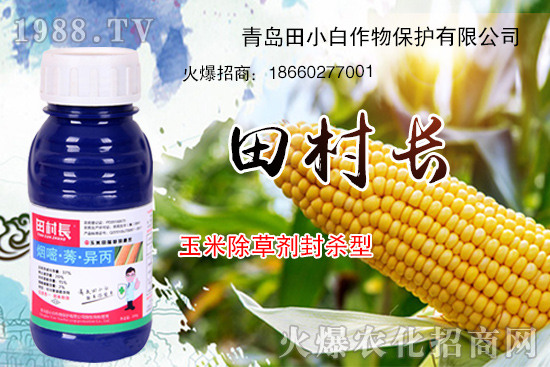 �׻�����¡