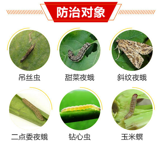 ���Ό�(du��)��1