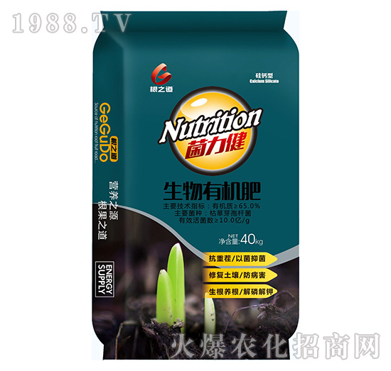 Ҫ�����������ϵ����Ҫ���۹��֮����ô�ӣ�����Щ����aƷ��