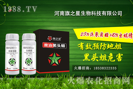 ������֮����ô�ӣ�������֮�ǚ����a(ch��n)Ʒ����Щ��