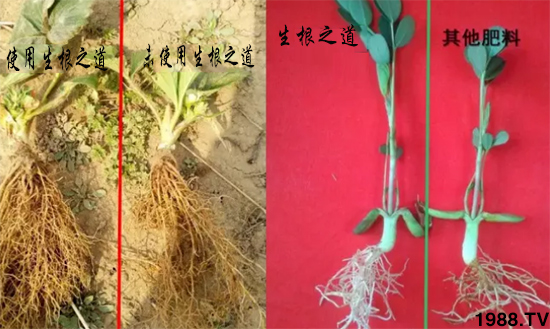 �����ϵ��a(ch��n)������������֮���������¸����������a(ch��n)�o(w��)�n��