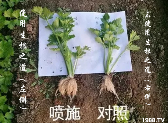 �����ϵ�����a(ch��n)������������֮���������¸����������a(ch��n)�o(w��)�n��