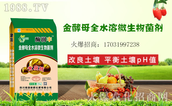 ΢�������