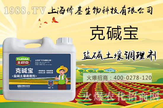 �����}�AΣ���������ˉA���������}�A��߀��һƬ������