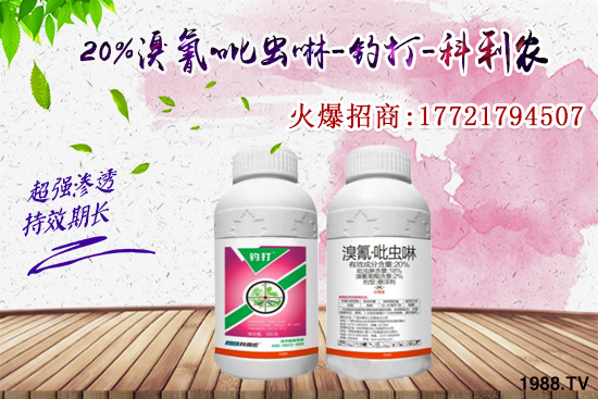 �������x���l(f��)̫���������x��ô��Ч���ã����x���η�������Щ��