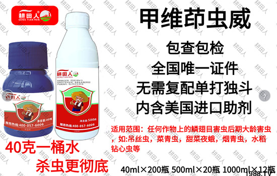 ����Ʒ�r(n��ng)ˎ�������¼Z�}(c��ng)����(r��n)��������ô�������x���a(ch��n)Ʒ����Щ��