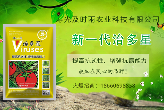 ���Ѳ�������֪���׷N�����Ӻ������η��Ѳ�������(��(n��i)�����η���) 