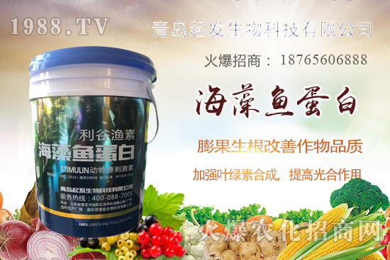 �߲˶�ֲ��ξ���죿�߲������`�^(q��)����Щ���߲�������������]��