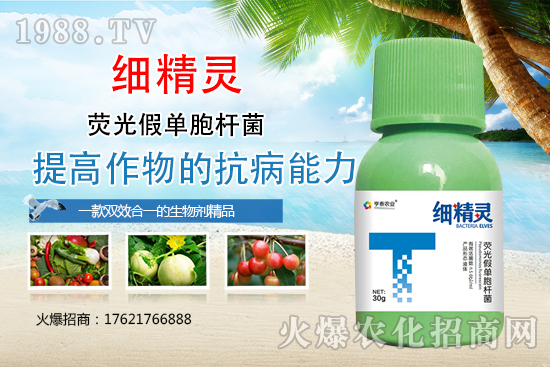 細(xì)菌性病害危害癥狀有哪些?細(xì)菌性病害防治藥劑推薦!