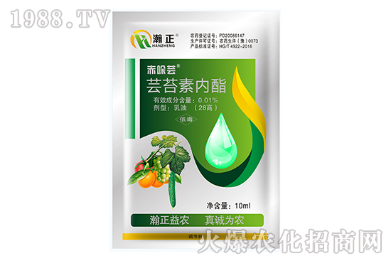 �|̦�؃�(n��i)����ʲô��(y��u)�����|̦�؃�(n��i)����(f��)�䷽������Щ��