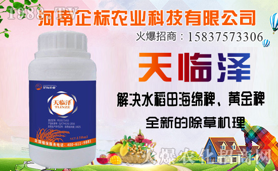 ������������ȷ�������������������݄��Ј�ͻ��20�|��Ԫ