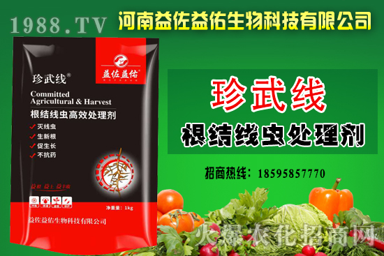 ���Y(ji��)���x�l(f��)����(y��n)�أ�����ס���á����Y(ji��)���x̎�턩���羀�x�����¸���