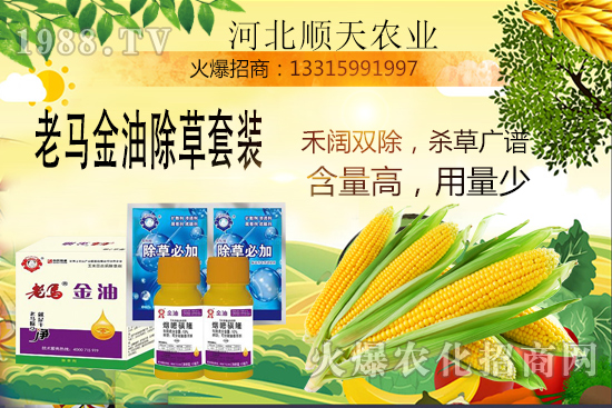 ����������������Ч�������׳����P(gu��n)�I�c��R����