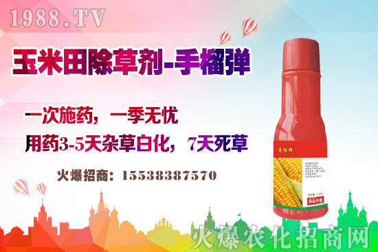 ������������v�������׳��݄��@�Ӵ򣬲��L�s�ݲ�������