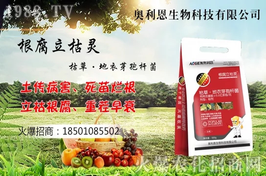 �S����ʲô����(ji��)�������S���˷Nֲ������B��